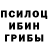 Псилоцибиновые грибы мухоморы ALINA LESHNKO
