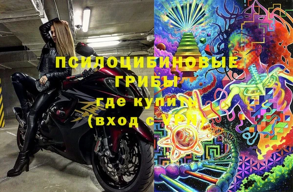 мдпв Коряжма